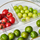 Plastic Serving Tray
